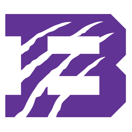 Bethel (TN) Wildcats logo