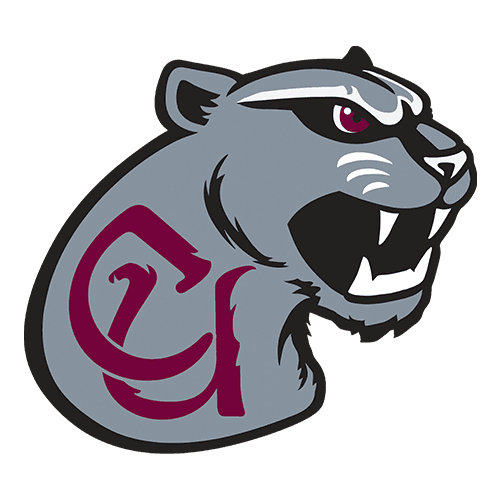 Concord Mountain Lions logo