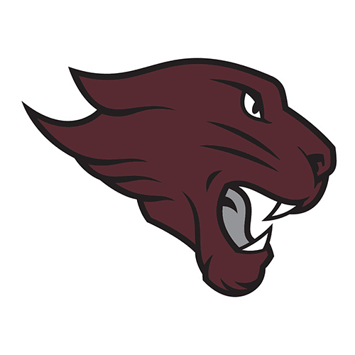 Concordia Chicago Cougars logo