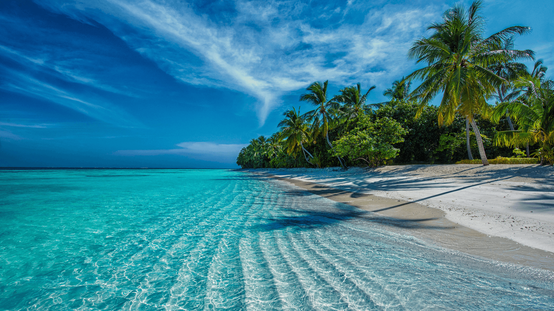 Caribbean Background