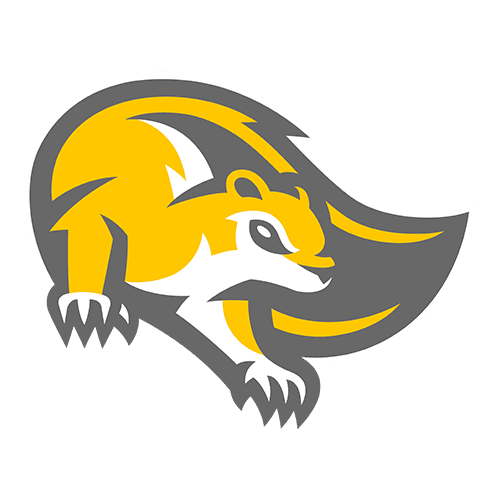 Mary Baldwin Fighting Squirrels logo