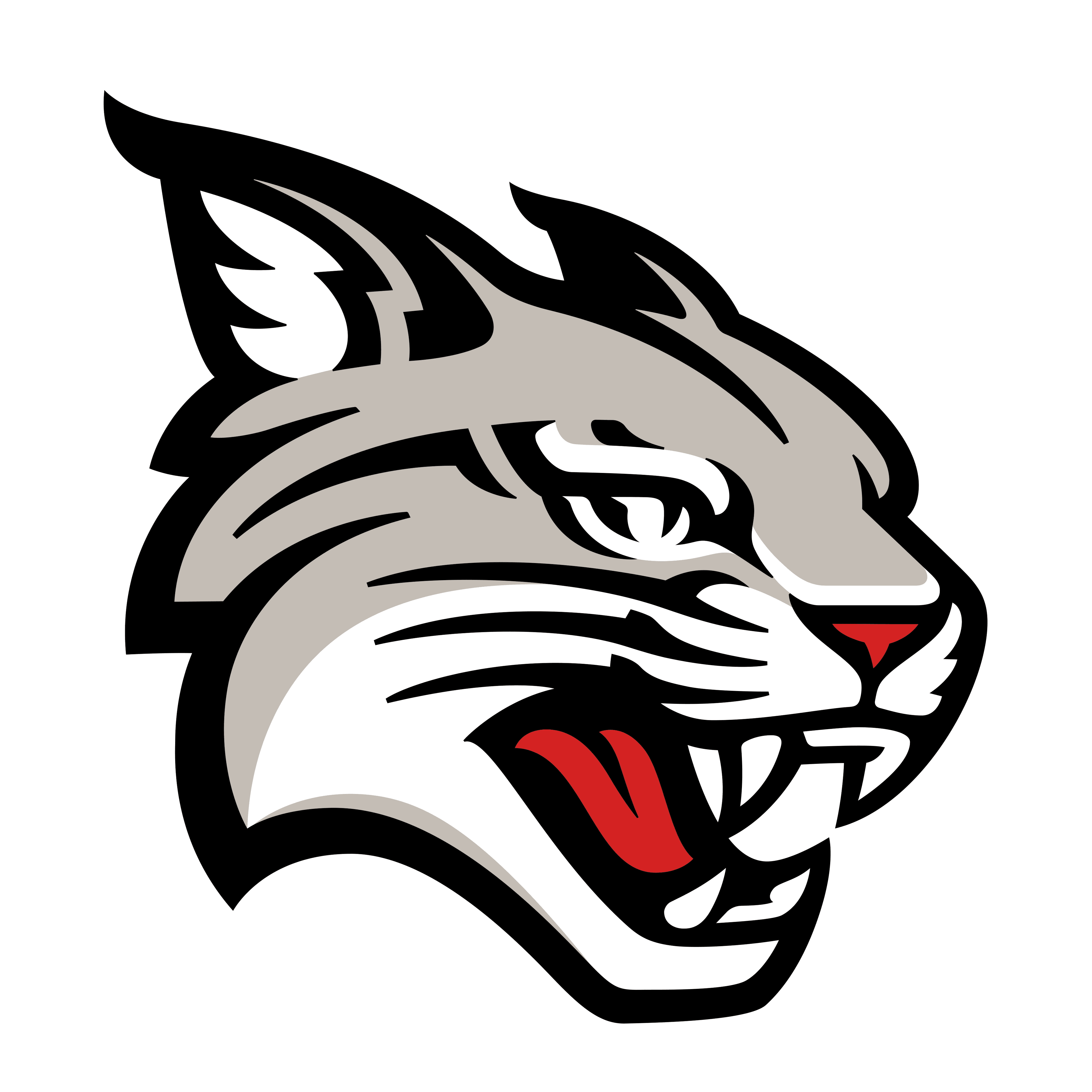 Davidson Wildcats logo