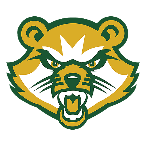Saint Vincent Bearcats logo
