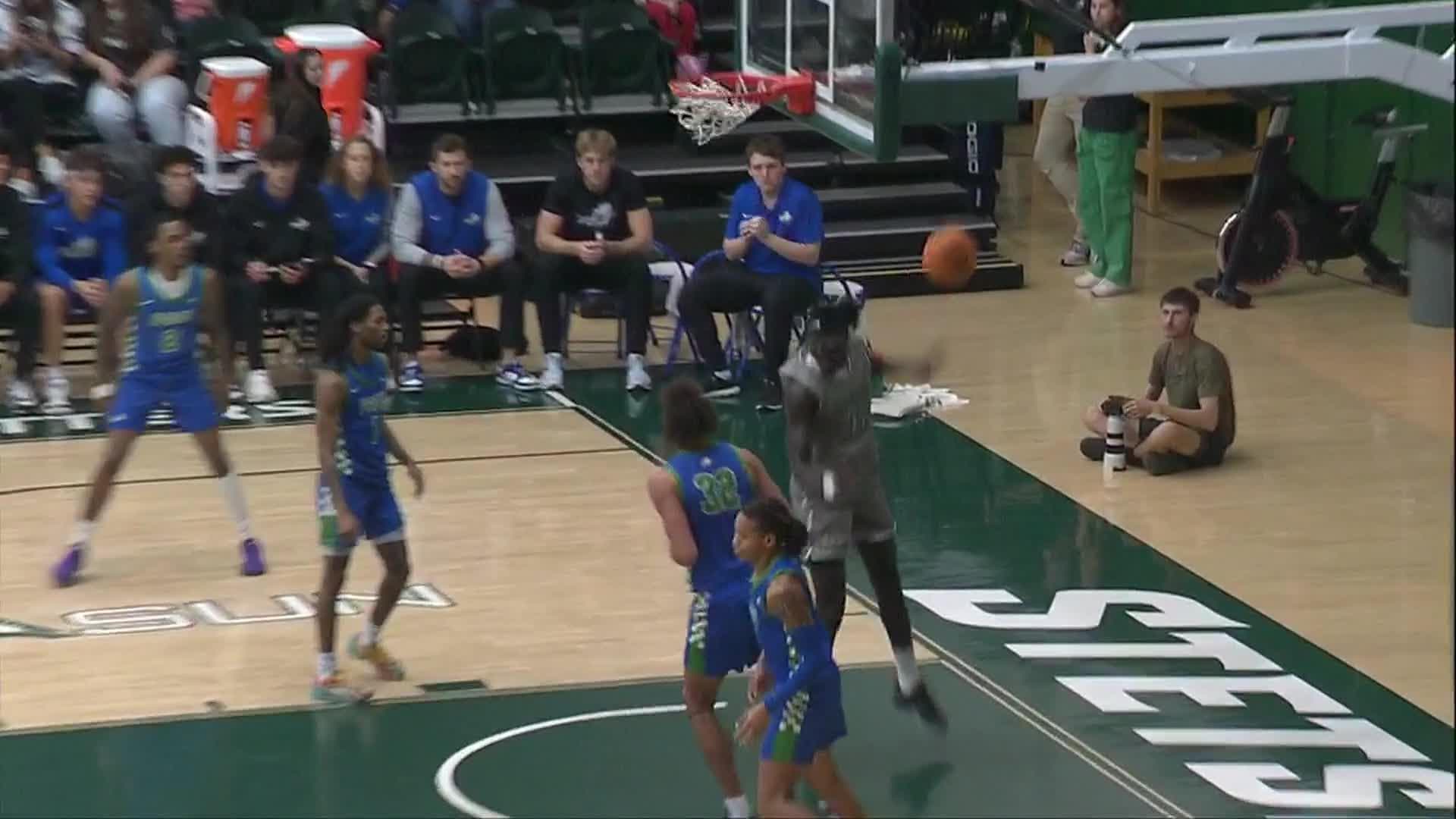 Florida Gulf Coast Eagles vs. Stetson Hatters: Game Highlights