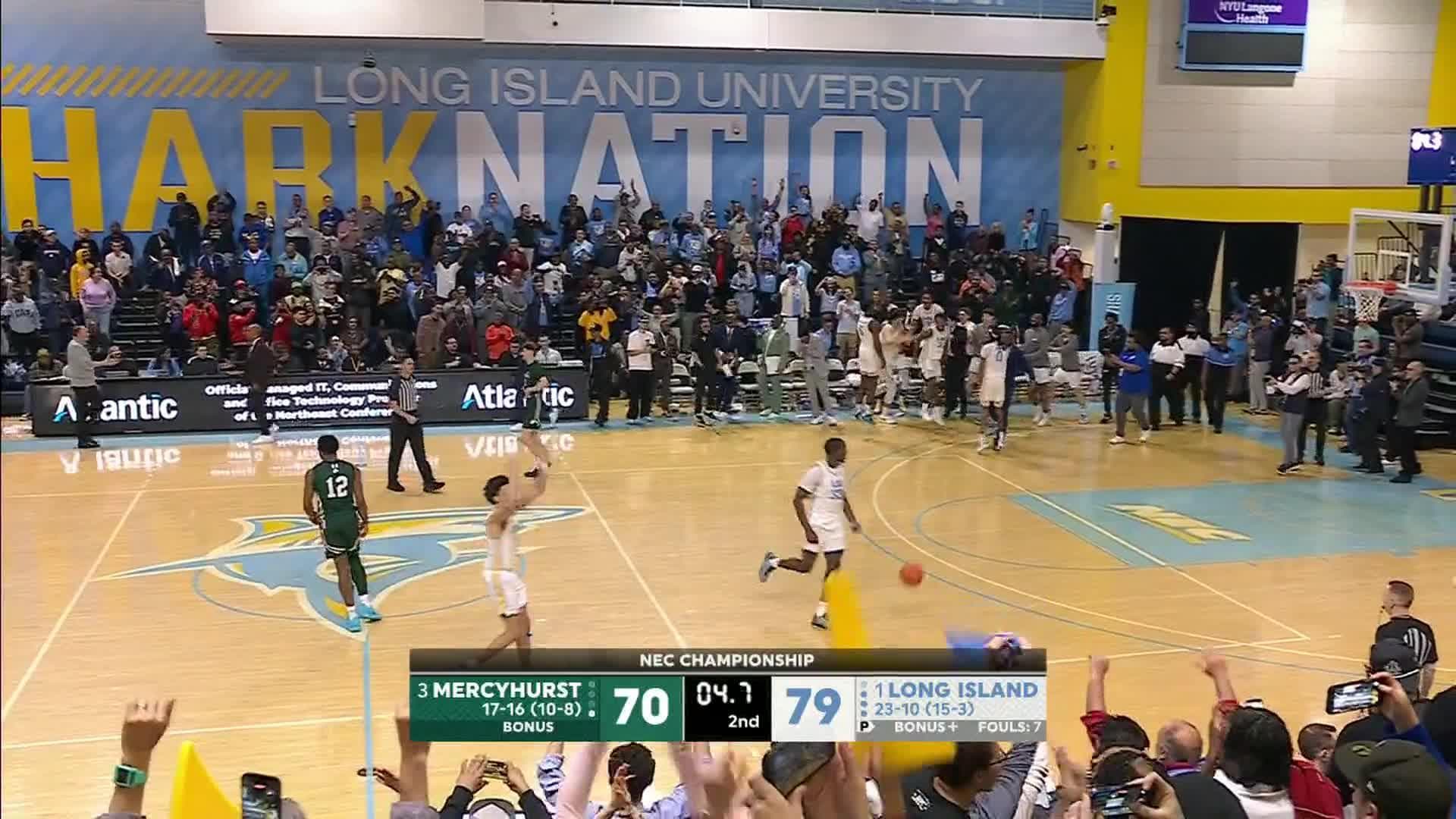 Mercyhurst Lakers vs. Long Island University Sharks: Game Highlights