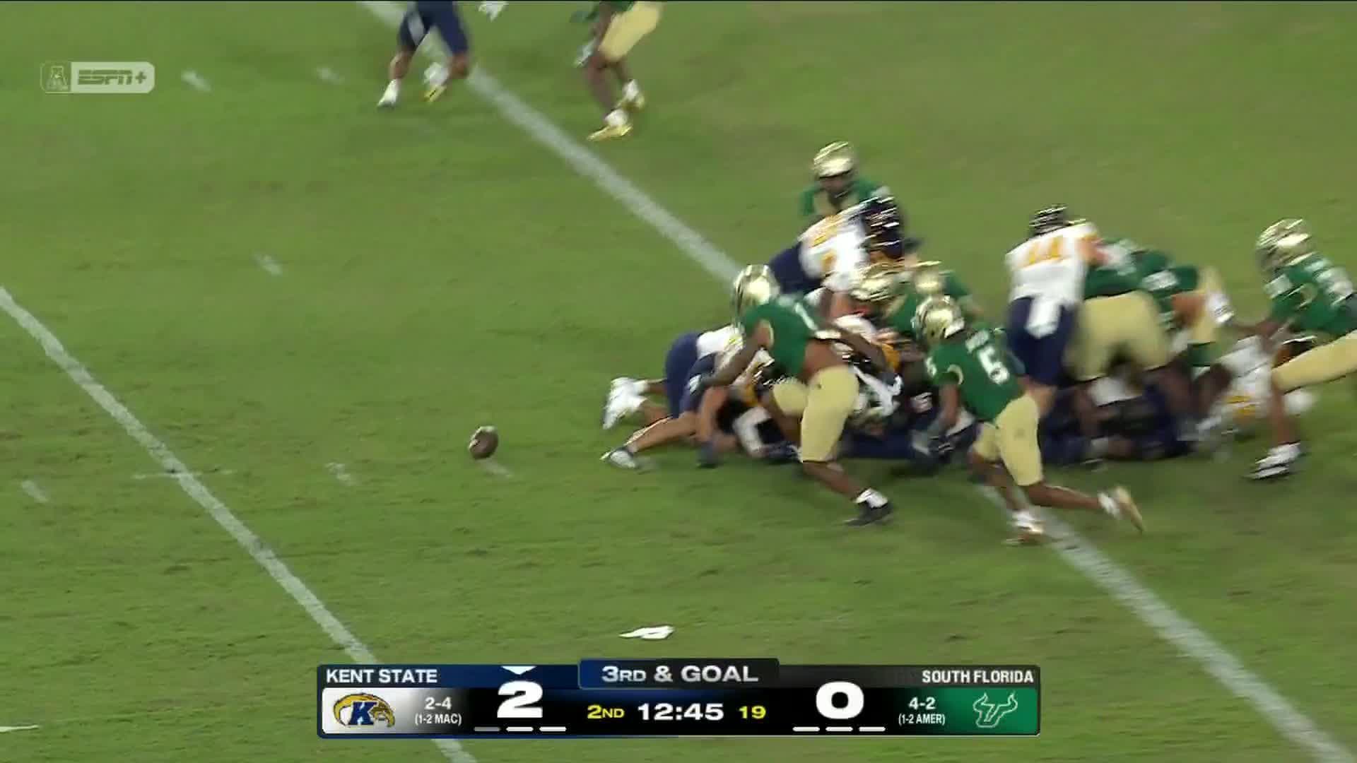 Kent State Golden Flashes vs. South Florida Bulls: Full Highlights